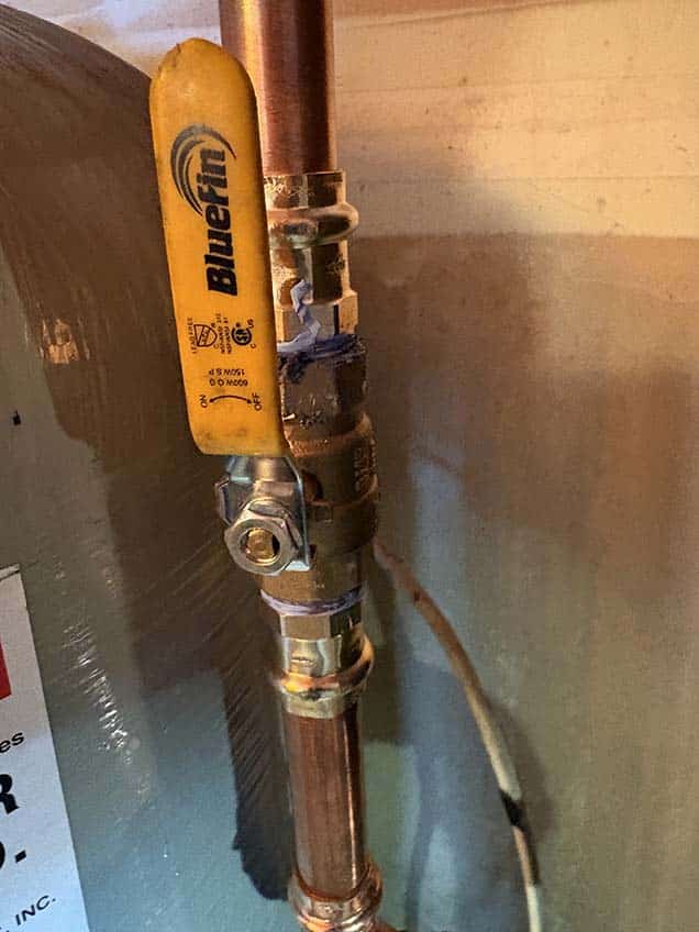 Check Valve